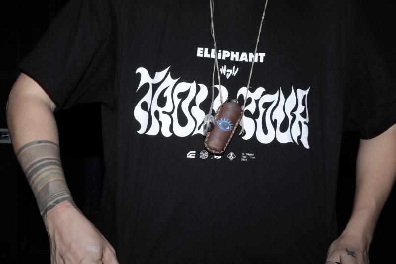 ELLIPHANT (c) Michael Dürr - IMGS8051